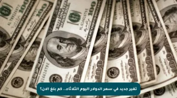 تغير جديد في سعر الدولار اليوم الثلاثاء.. كم بلغ الآن؟